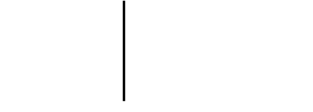 Liners Salon LTD